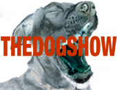 The Dog Show profile picture