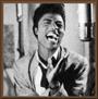 Little Richard profile picture