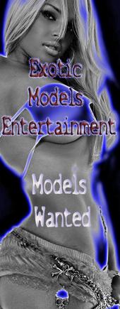 LVS Exotic Models Entertainment profile picture