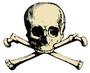 Newfoundland Pirates profile picture