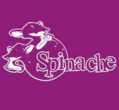 spinache / tha gooniez profile picture