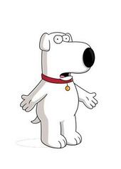 Starfort the Dog A.K.A brian Griffin profile picture