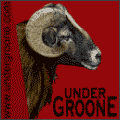 www.undergroone.com profile picture