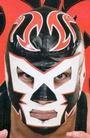 hongo_mistico profile picture