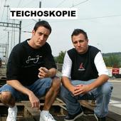 Teichoskopie profile picture