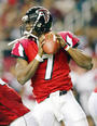 Mike Vick profile picture