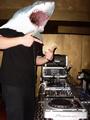 DJ MUSTARD PIMP (NEW CLIP & NEW SET AVAILABLE) profile picture