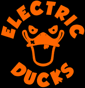 ELECTRIC DUCKS profile picture