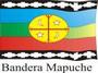 Daisy Ptite Mapuche!! APASH CANELASON!! profile picture