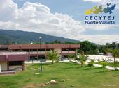 cecyturvallarta profile picture