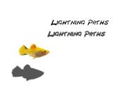 Lightning Paths profile picture