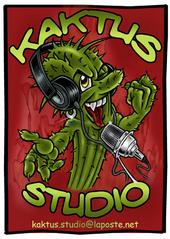 kaktus.studio profile picture