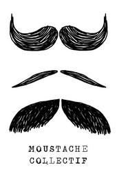 moustache collectif profile picture