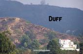 Duff profile picture