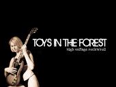 Toys In The Forest (Fan page) profile picture