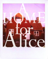 A Home for Alice ! profile picture