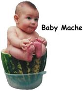 Baby Mache profile picture