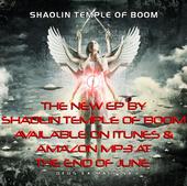 ÛžSâ‚¬Â®g!0Ûž~ Shaolin Temple of BooM profile picture