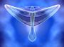 Espiritu de Vida Reiki profile picture