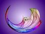 Espiritu de Vida Reiki profile picture