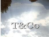 T & Co profile picture