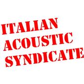 Italian Acoustic Syndicate profile picture