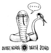 Secret Ninja Death Squad profile picture