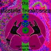 The ELECTRIC FREAKTONES Sabato 23 Maggio al TETRIS profile picture