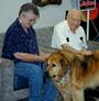 Sanctuary for Senior Dogs profile picture