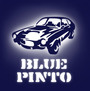 blue pinto profile picture