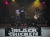 Black Chicken profile picture