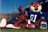 autigers12