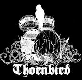 Thornbird profile picture