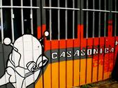 Casasonica profile picture