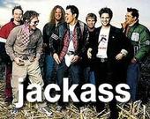 jackass profile picture