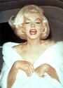 Immortal Marilyn ♥ profile picture