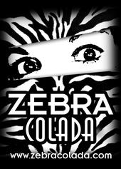 zebra colada profile picture