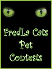 EMMALACATS PET CONTESTS profile picture