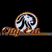 citycatsounds