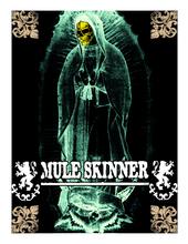 MULE SKINNER profile picture