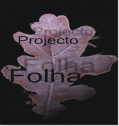 Projecto Folha profile picture