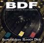 B D F ( Basque Dub Foundation ) profile picture