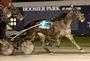 Hoosier Park at Anderson profile picture