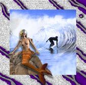 the Surfer & the Mermaids profile picture