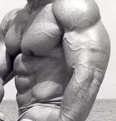 Bodybuilding profile picture