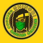 Shinobi Sound profile picture