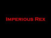 IMPERIOUS REX (L. Guit. / Bass Needed) profile picture