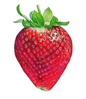 The Strawberry Picker profile picture