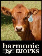 harmonieworks