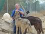 Friends of Wolf Mountain Sanctuary profile picture